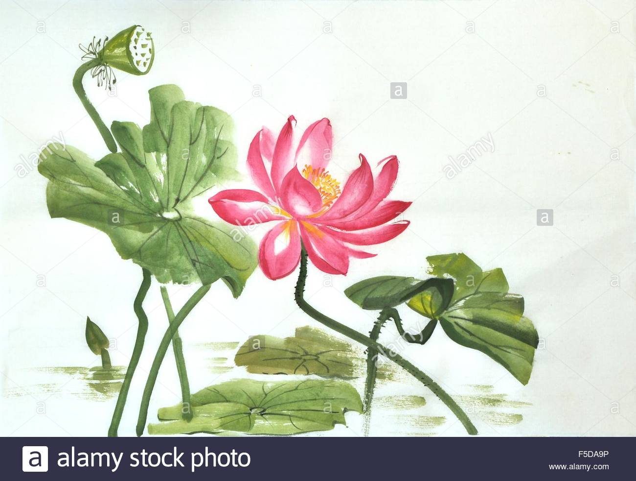 1300x982 Lotus Flower Watercolor Painting On A Rice Paper, Original Art - Lotus Flower Watercolor Painting