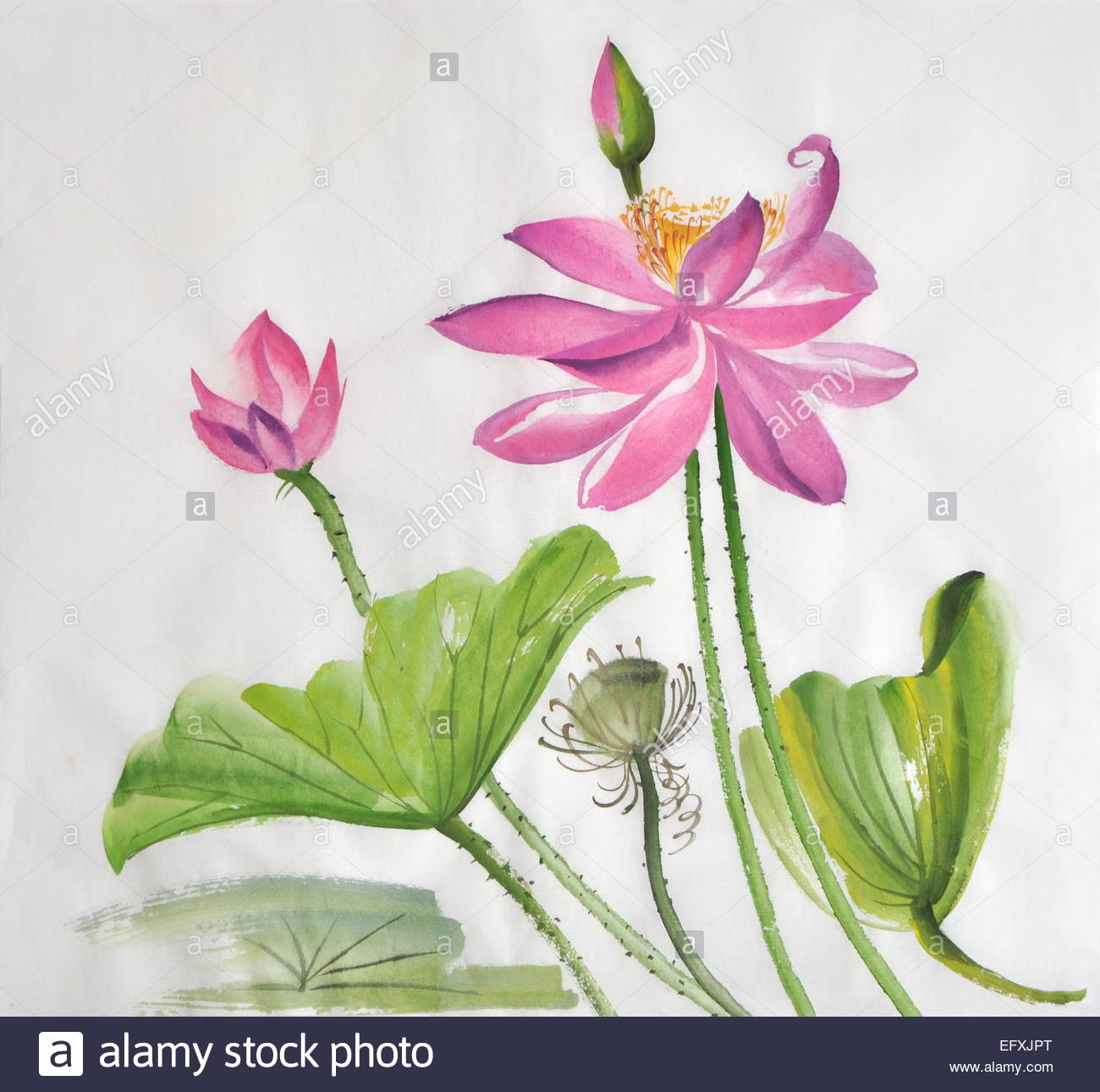 1300x1290 Lotus Flower Watercolor Painting On Rice Paper, Original Art - Lotus Flower Watercolor Painting