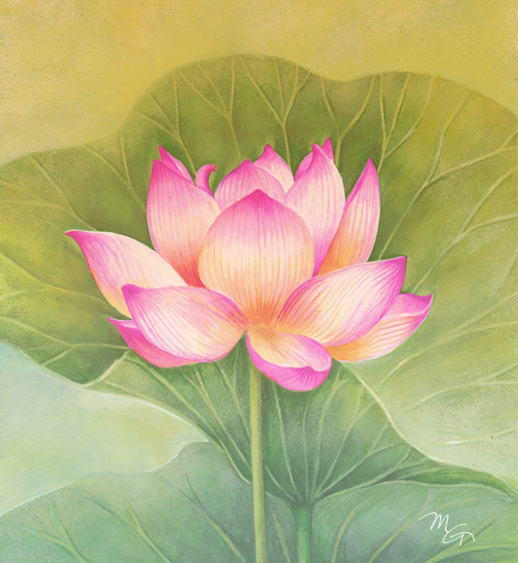 570x619 Pink Lotus Flower Watercolor Painting Art Print Children Art - Lotus Flower Watercolor Painting