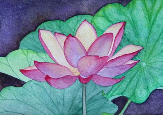 520x369 The Lotus Flower Series Angie's Art Studio Ceramic Bisque - Lotus Flower Watercolor Painting
