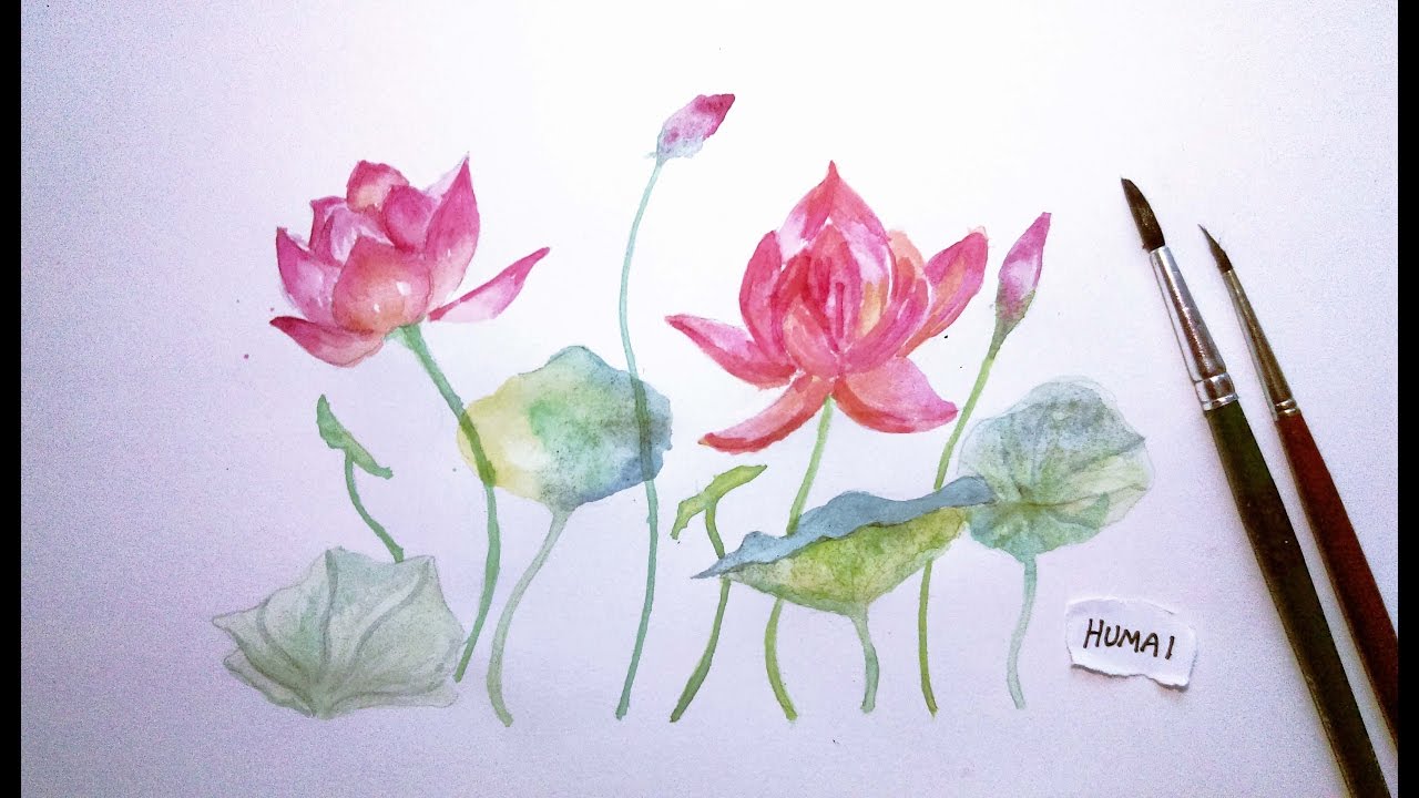 1280x720 How To Paint Lotus In Watercolour - Lotus Flower Watercolor Painting