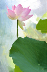 159x240 Lotus Flower Oil Paintings Lotus Flower Oil Painting - Lotus Oil Painting