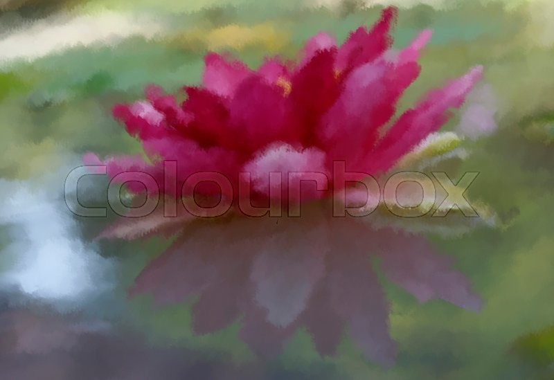 800x549 Oil Painting Pink Waterlily Or Lotus Flower In Pond Stock Photo - Lotus Oil Painting