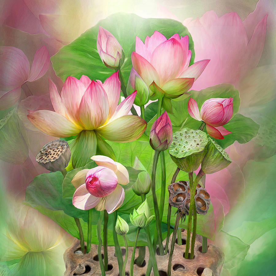 900x900 Cheap 2015 Hand Painted Oil Painting Canvas Painting Buddhist - Lotus Oil Painting