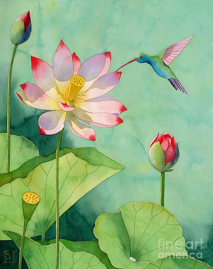 713x900 Lotus And Hummingbird Painting By Robert Hooper - Lotus Painting