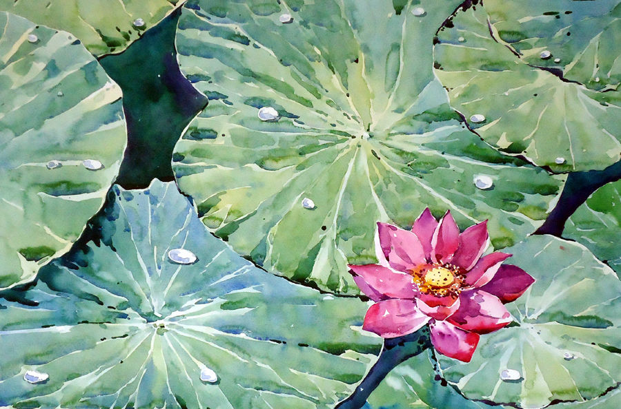 900x594 Lotus Painting By Artist Raji P - Lotus Painting