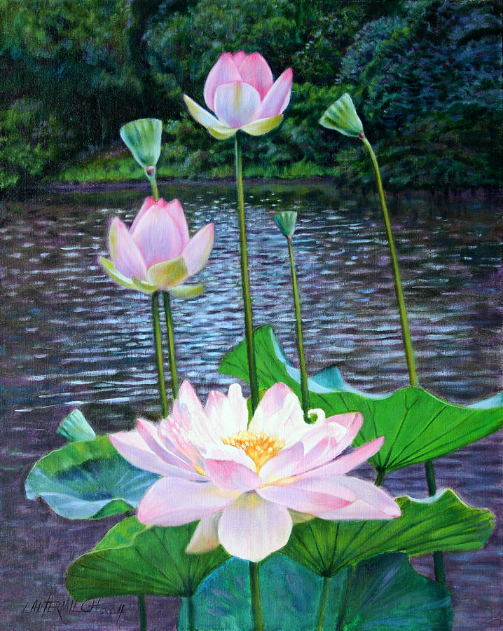718x900 Lotus Painting By John Lautermilch - Lotus Painting