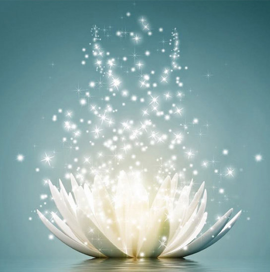 544x547 Magical Lotus Diamond Painting Embroidery Kit 5d Diamond - Lotus Painting