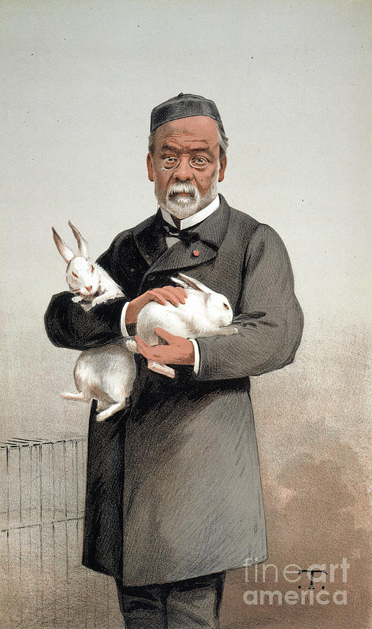 532x900 Louis Pasteur Drawing By Granger - Louis Pasteur Painting