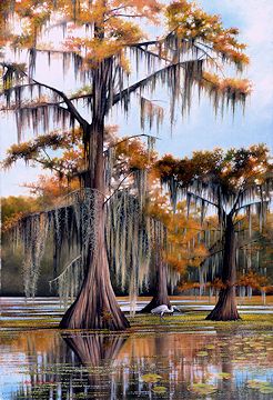 246x360 Wildlife Art Prints By Wildlife Artist Ron Atwood - Louisiana Swamp Painting