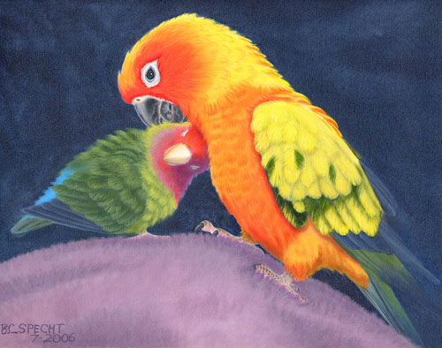 500x394 Lovebird And Sun Conure Painting - Lovebird Painting