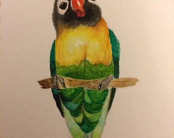 340x270 Lovebird Painting Etsy - Lovebird Painting