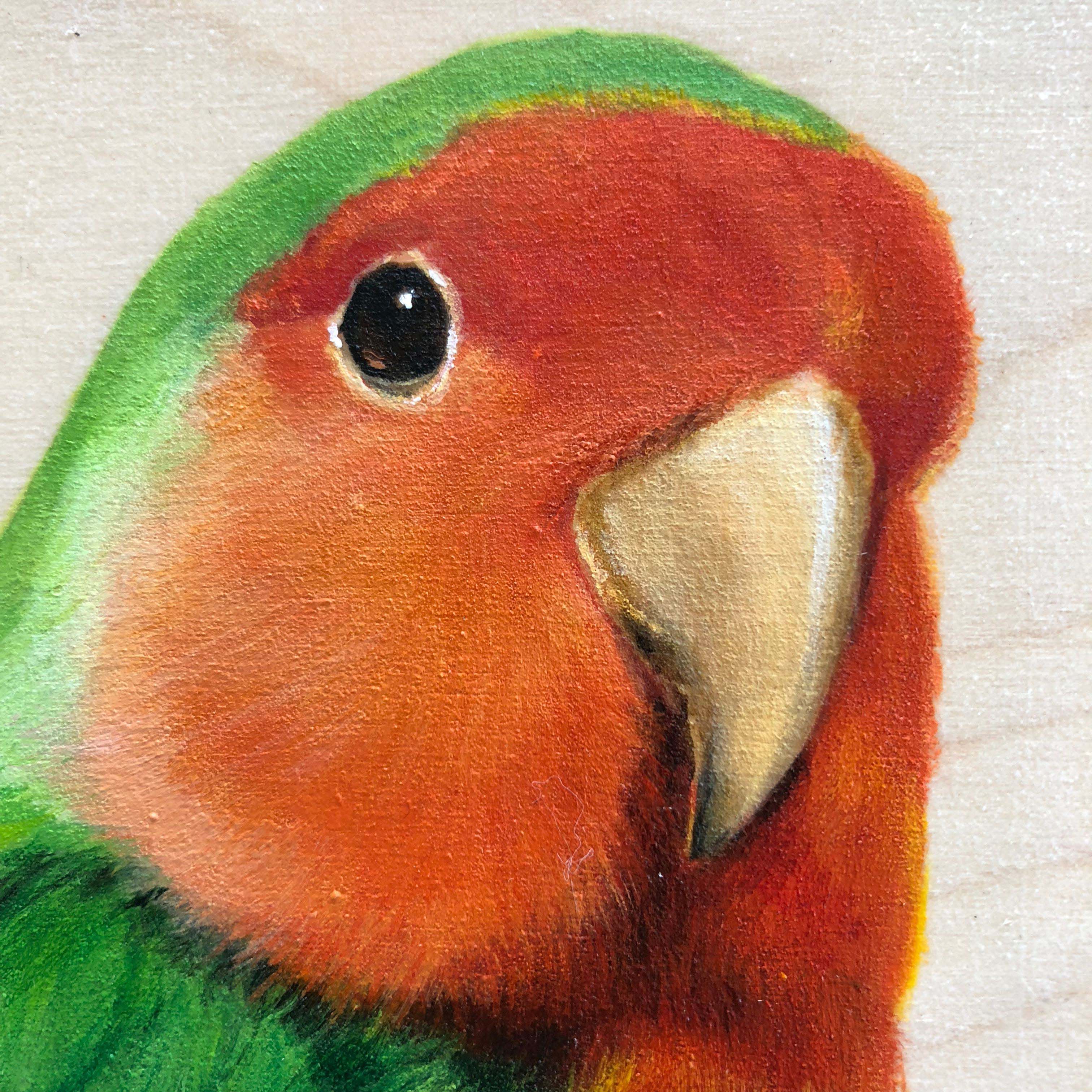 3024x3024 Original Bird Painting - Lovebird Painting