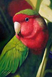 203x300 Parrot Conure Love Bird Eclectus Macaw Cape Bird Hawaii Jungle Art - Lovebird Painting