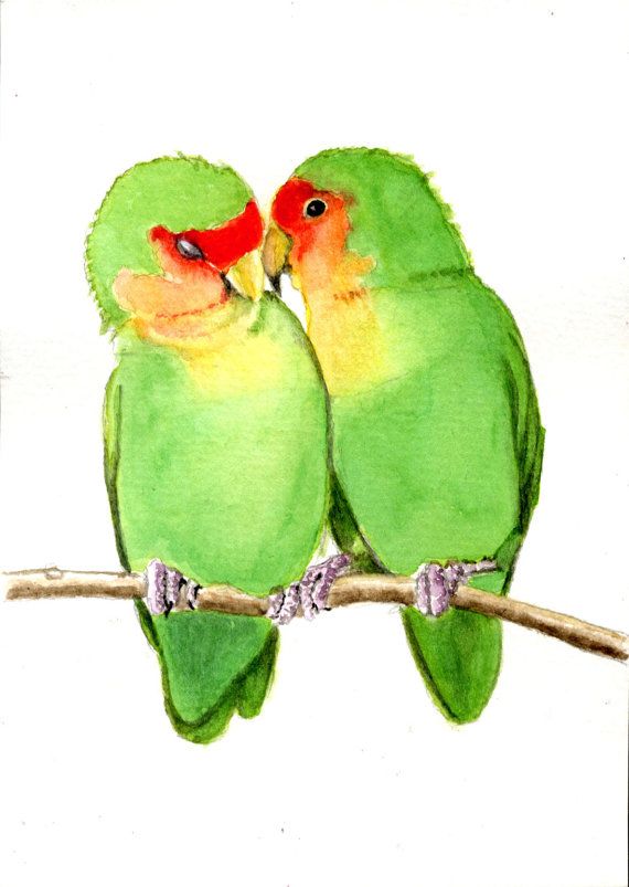 570x803 Peach Faced Lovebirds, 5x7 Print From Original By Earthspalette - Lovebird Painting