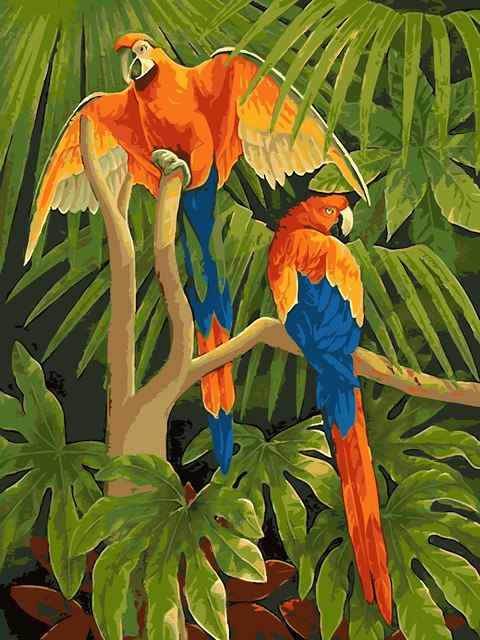 480x640 Hq Parrot Birds Pictures Painting By Number Love Bird Diy Paint - Lovebird Painting
