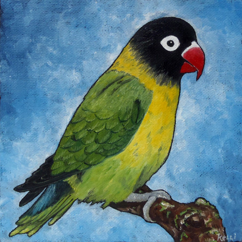 498x498 Yellow Collared Lovebird - Lovebird Painting