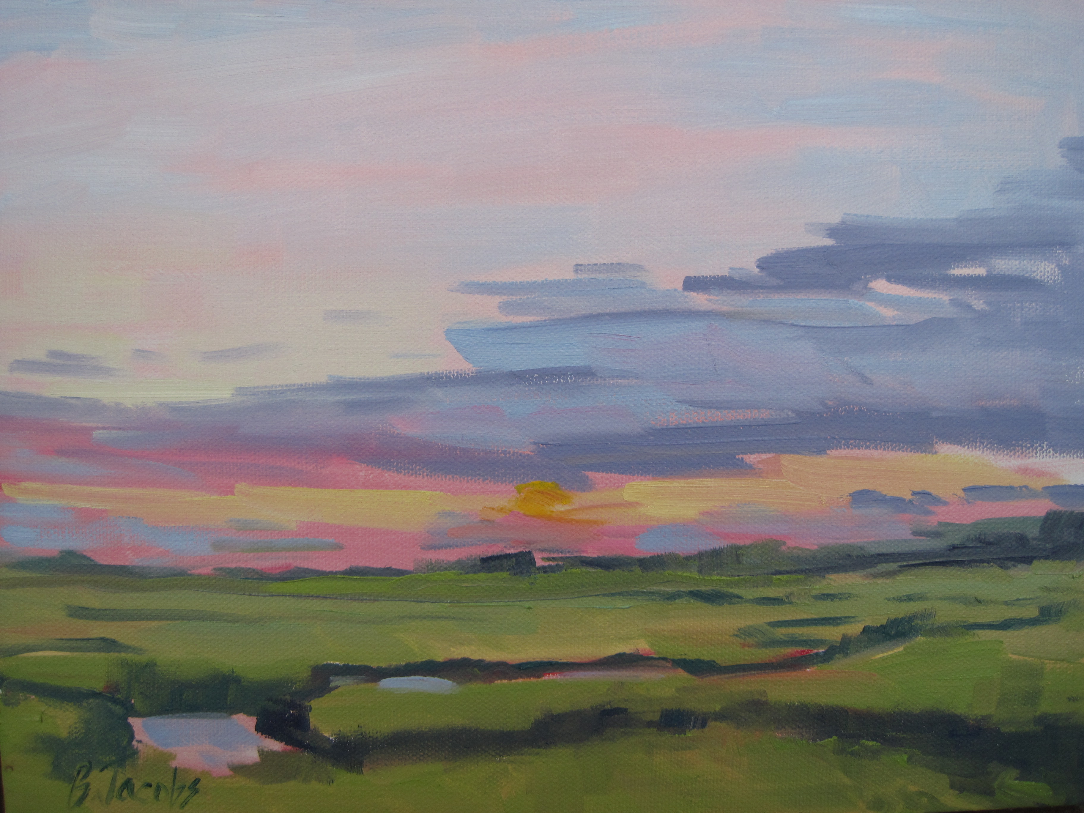 3648x2736 Light In The Low Oil On Canvas Paintings By Bari Jacobs - Low Country Painting