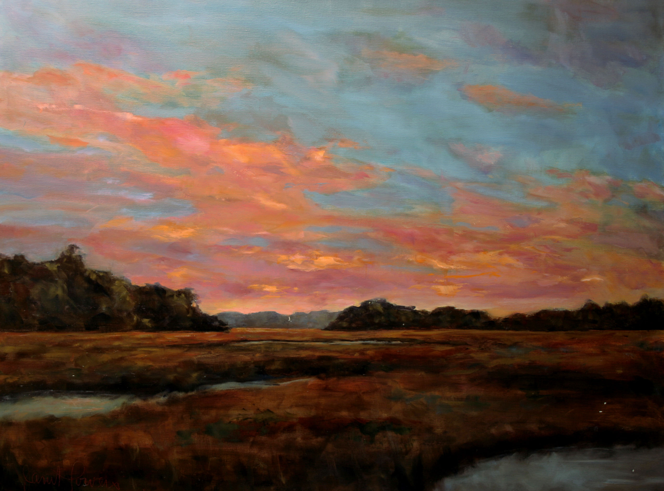 2769x2049 Janet Powers - Low Country Painting