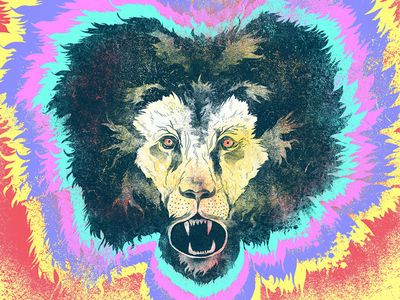 400x300 Putting The Lion In Lsd Lions And Psychedelic - Lsd Painting