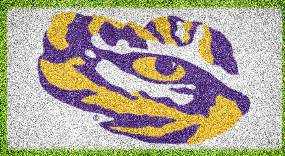 1000x548 Louisiana State University Lawn Stencil Fanouflage - Lsu Tiger Eye Painting