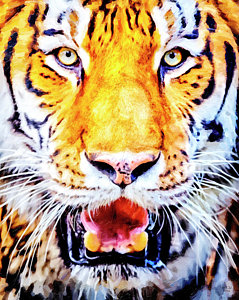 239x300 Lsu Tigers Paintings Fine Art America - Lsu Tiger Eye Painting