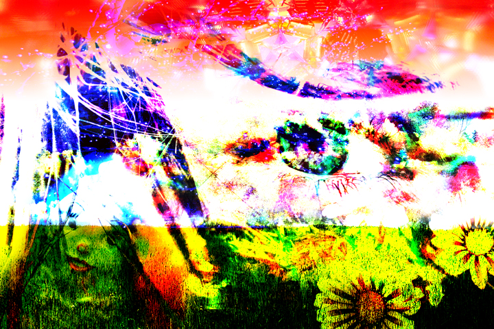 720x480 Lucy In The Sky With Diamonds - Lucy In The Sky With Diamonds Painting