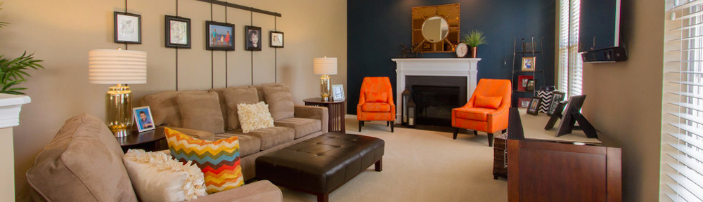 1000x288 Ludwig Painting, Inc. - Ludwig Painting