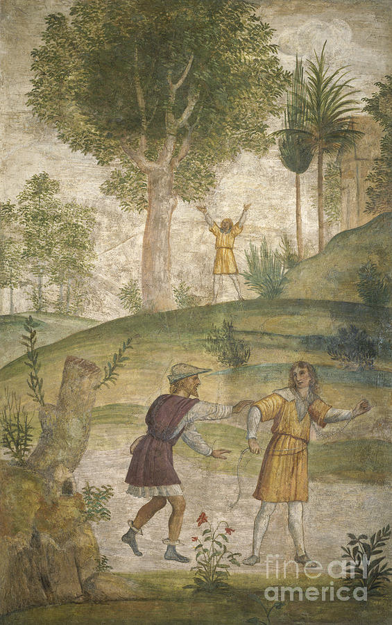 565x900 The Despair Of Cephalus Painting By Bernardino Luini - Luini Painting