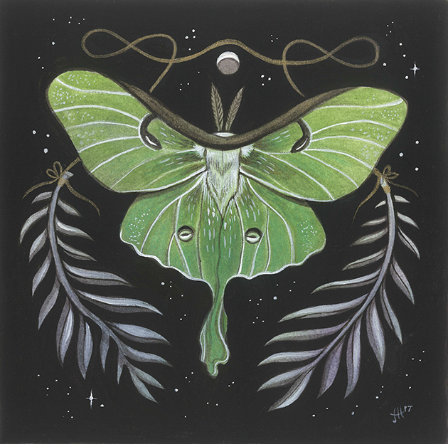 630x624 Luna Moth By Jillhoffman - Luna Moth Painting