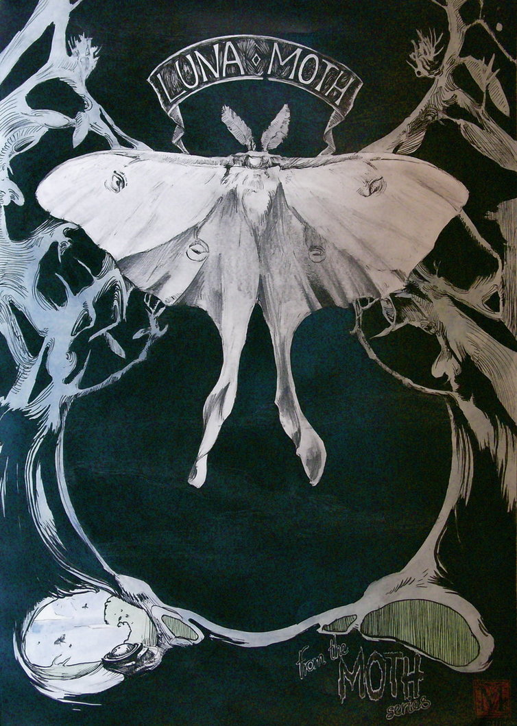 754x1059 Luna Moth By Mamikothehippo - Luna Moth Painting