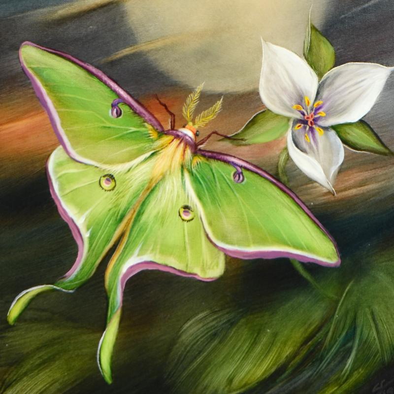 Luna Moth Painting at PaintingValley.com | Explore collection of Luna ...