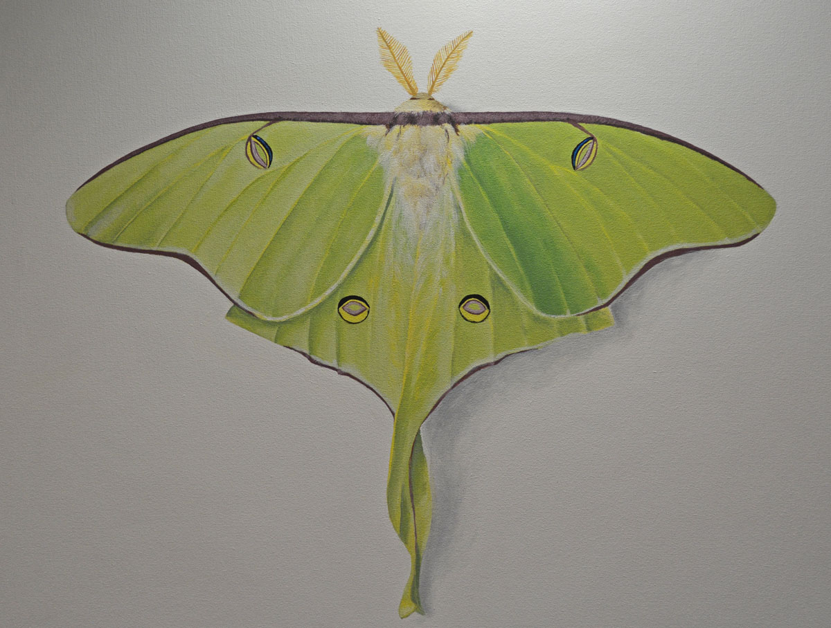 1200x908 Moths, Big Magic And Our True Colors The Beauty Along The Road - Luna Moth Painting