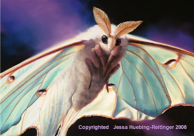 400x280 Project Insect Llc Luna Moth Painting A Pastel Study - Luna Moth Painting