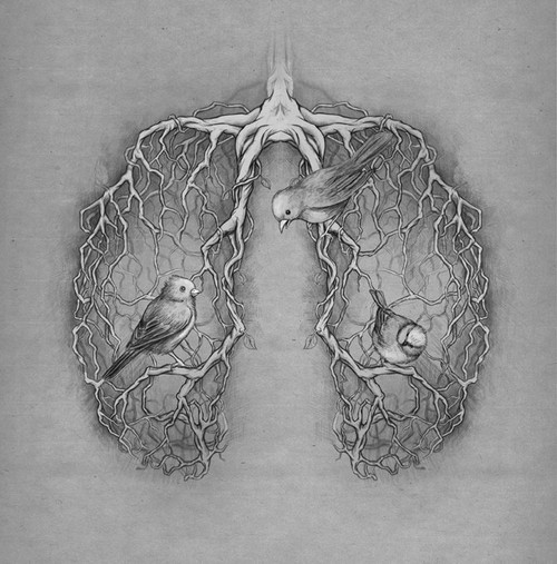 500x507 Lungs Painting - Lungs Painting