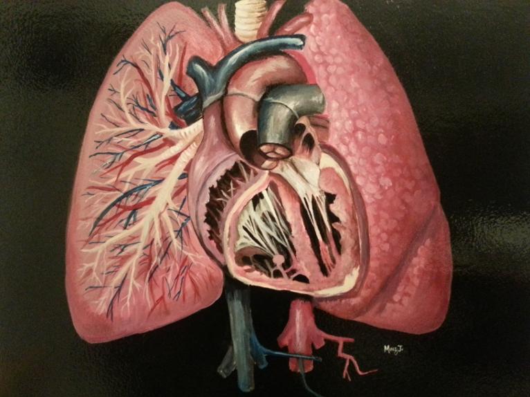 766x574 Minz's Canvas - Lungs Painting