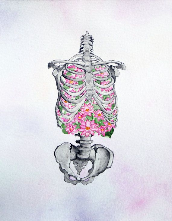 570x729 Rib Cage Anatomy Painting Lung Skeleton Watercolor Art - Lungs Painting