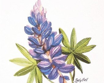 340x270 Lupine Painting Etsy - Lupine Painting