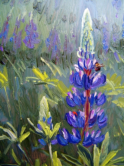 413x550 May 22, 2010 Lupine Paintings Today! Day 22 Of May Painting - Lupine Painting