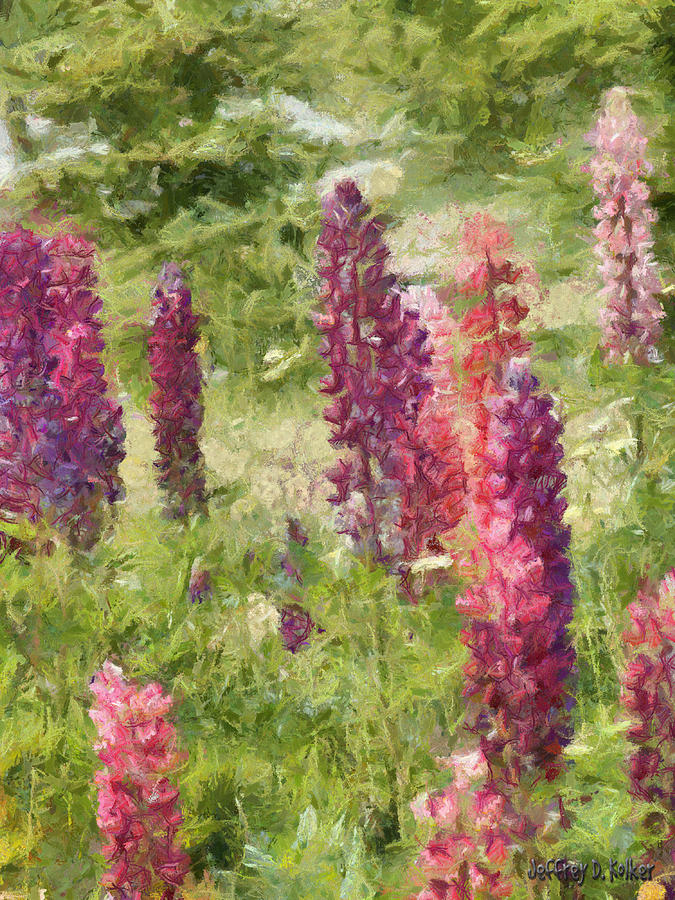 675x900 Nova Scotia Lupine Flowers Painting By Jeffrey Kolker - Lupine Painting