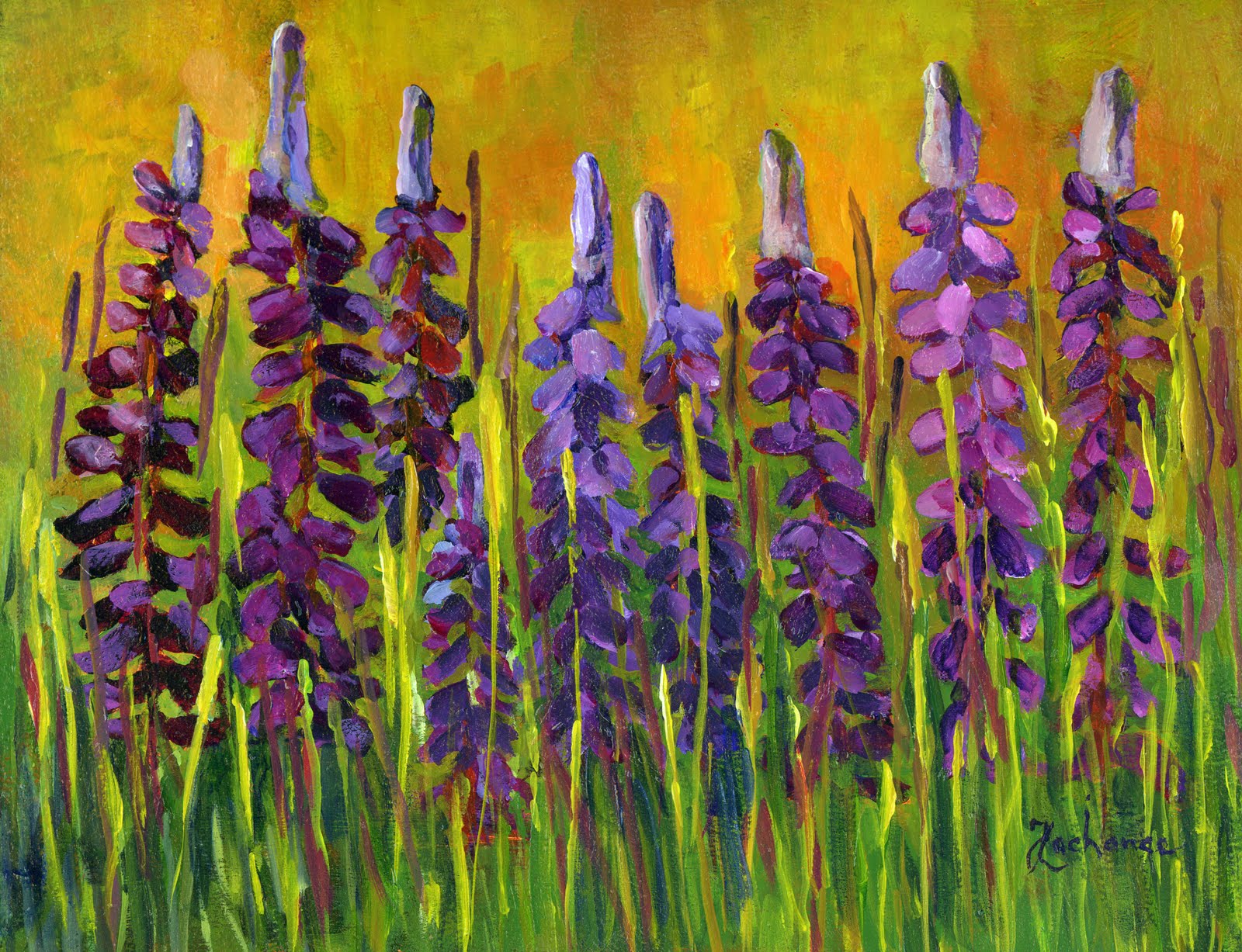 Lupine Painting at PaintingValley.com | Explore collection of Lupine ...