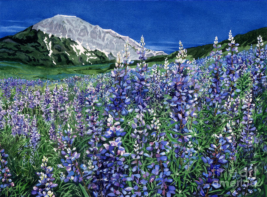 900x662 Wild Lupine Painting By Barbara Jewell - Lupine Painting