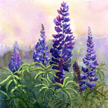 350x349 Lupine Cms.pippin Art Prints - Lupine Painting