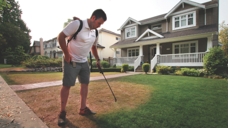 938x527 Paint It Green - Luxe Painting