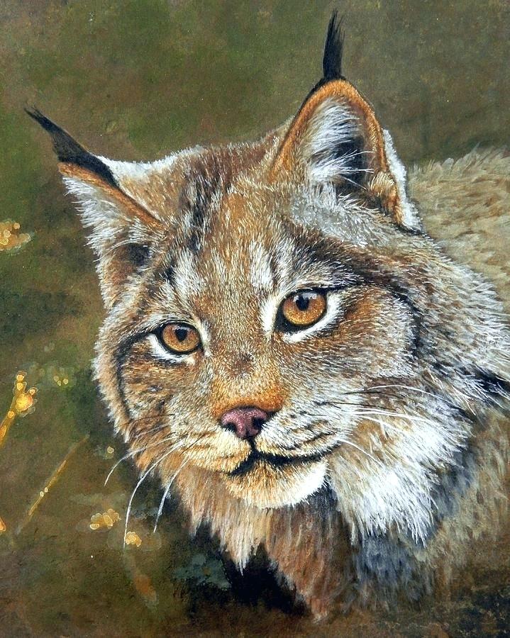 719x900 Lynx Artwork Lynx Paintings Lynx Portrait Painting Shadow Lynx - Lynx Painting