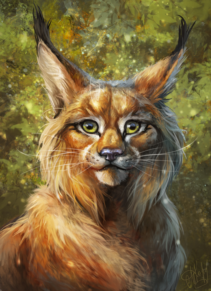 725x1000 Lynx By Sans Art - Lynx Painting