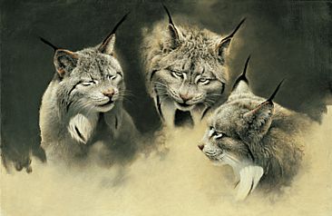 366x238 Canada Lynx - Lynx Painting