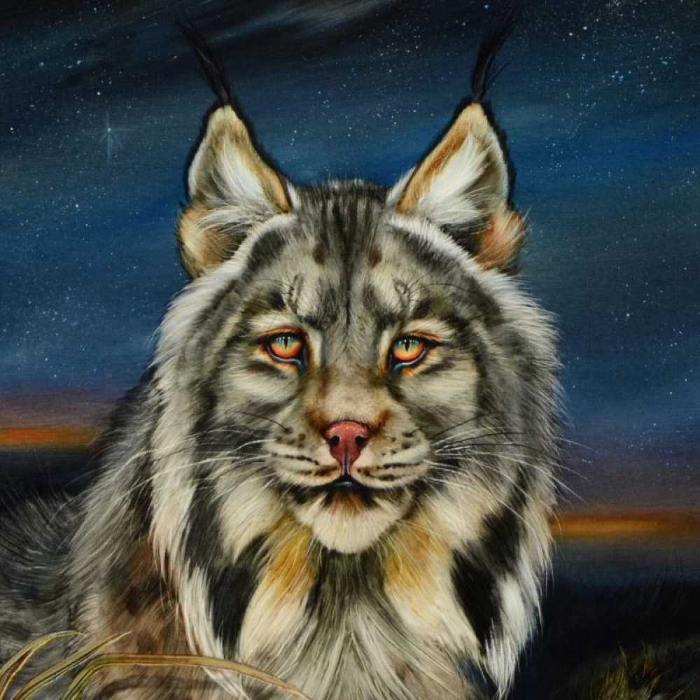 1000x1000 Online Sports Memorabilia Auction Pristine Auction - Lynx Painting