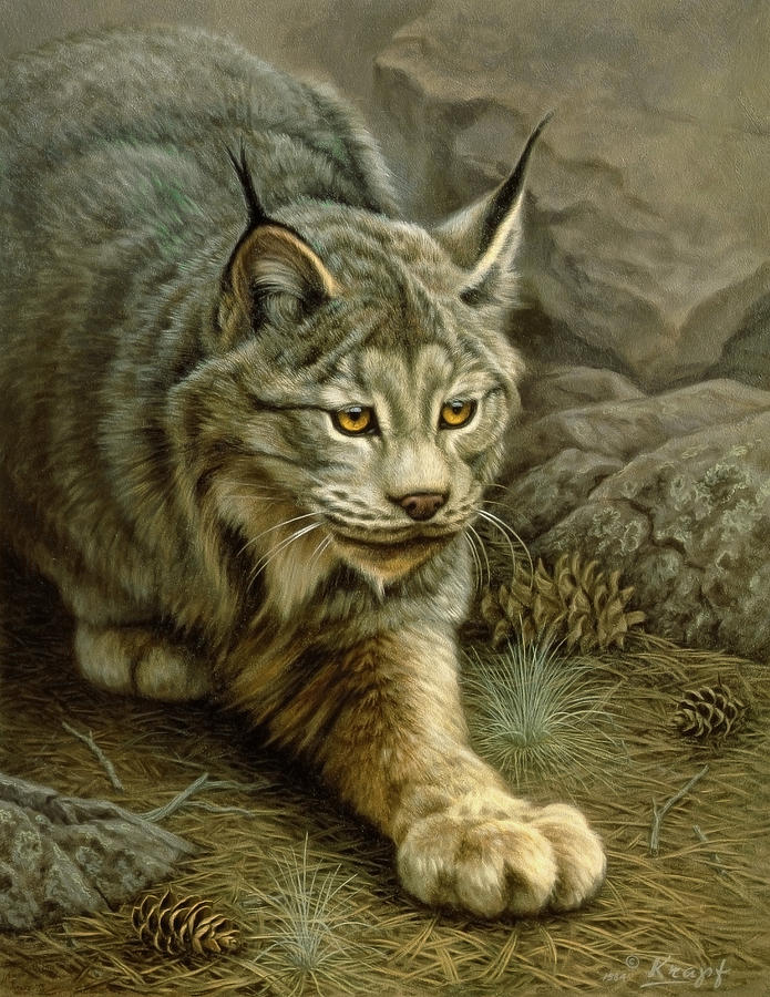 695x900 Stalking Lynx Painting By Paul Krapf - Lynx Painting