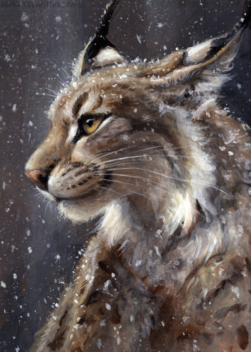 500x701 Lynx Art Tumblr - Lynx Painting